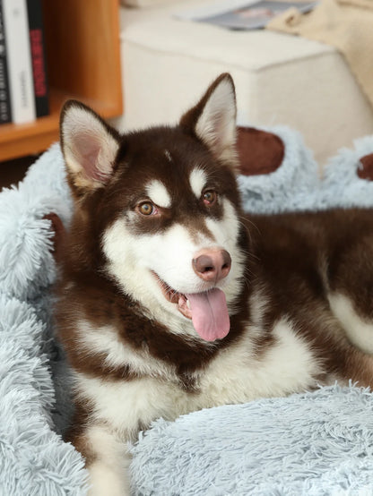 dog Paw bed