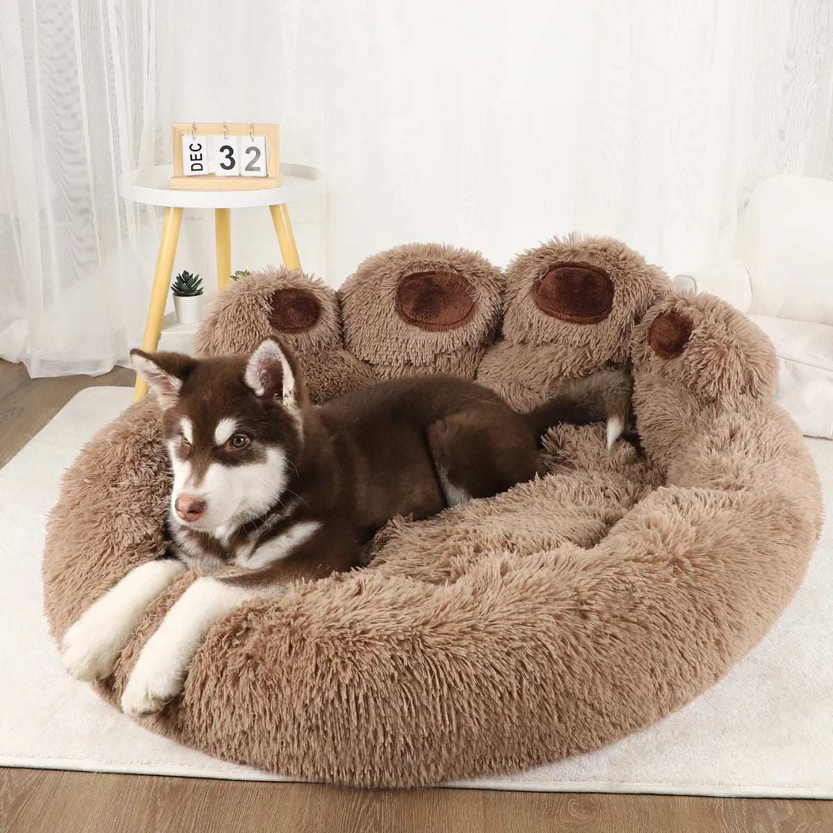 dog Paw bed