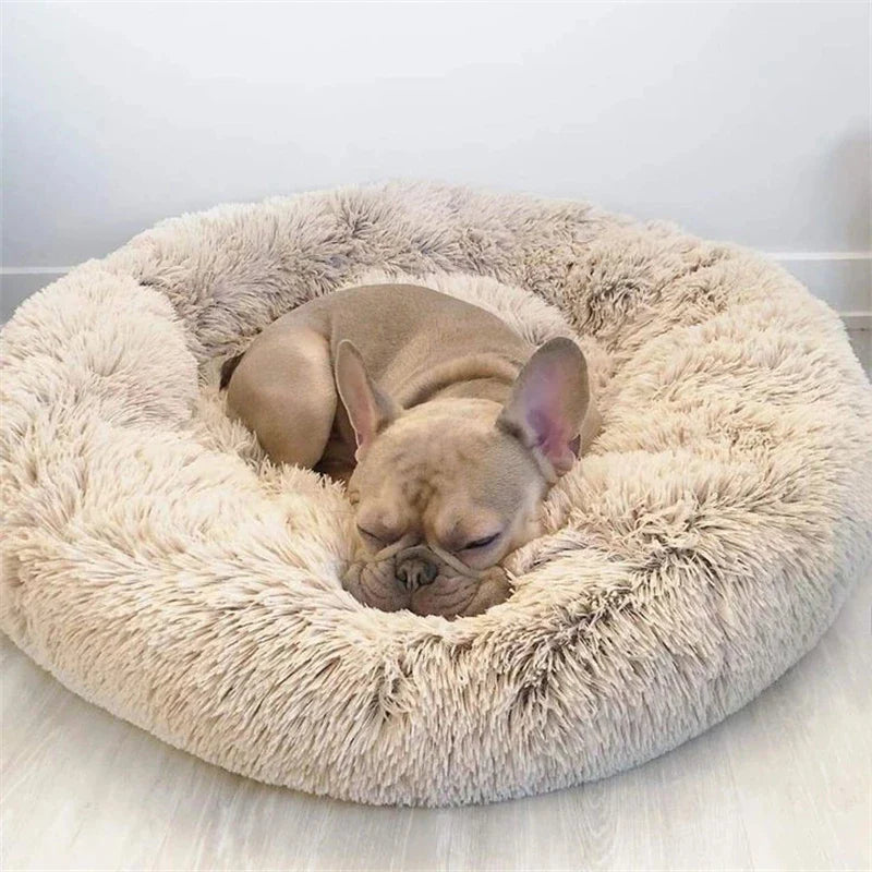 Donut Bed