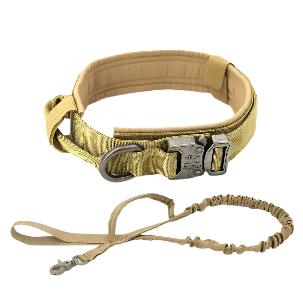 Tactical Collar