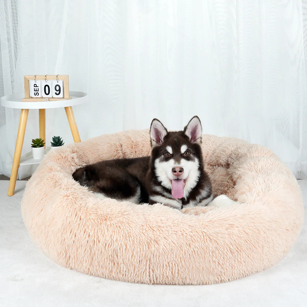 Donut Bed