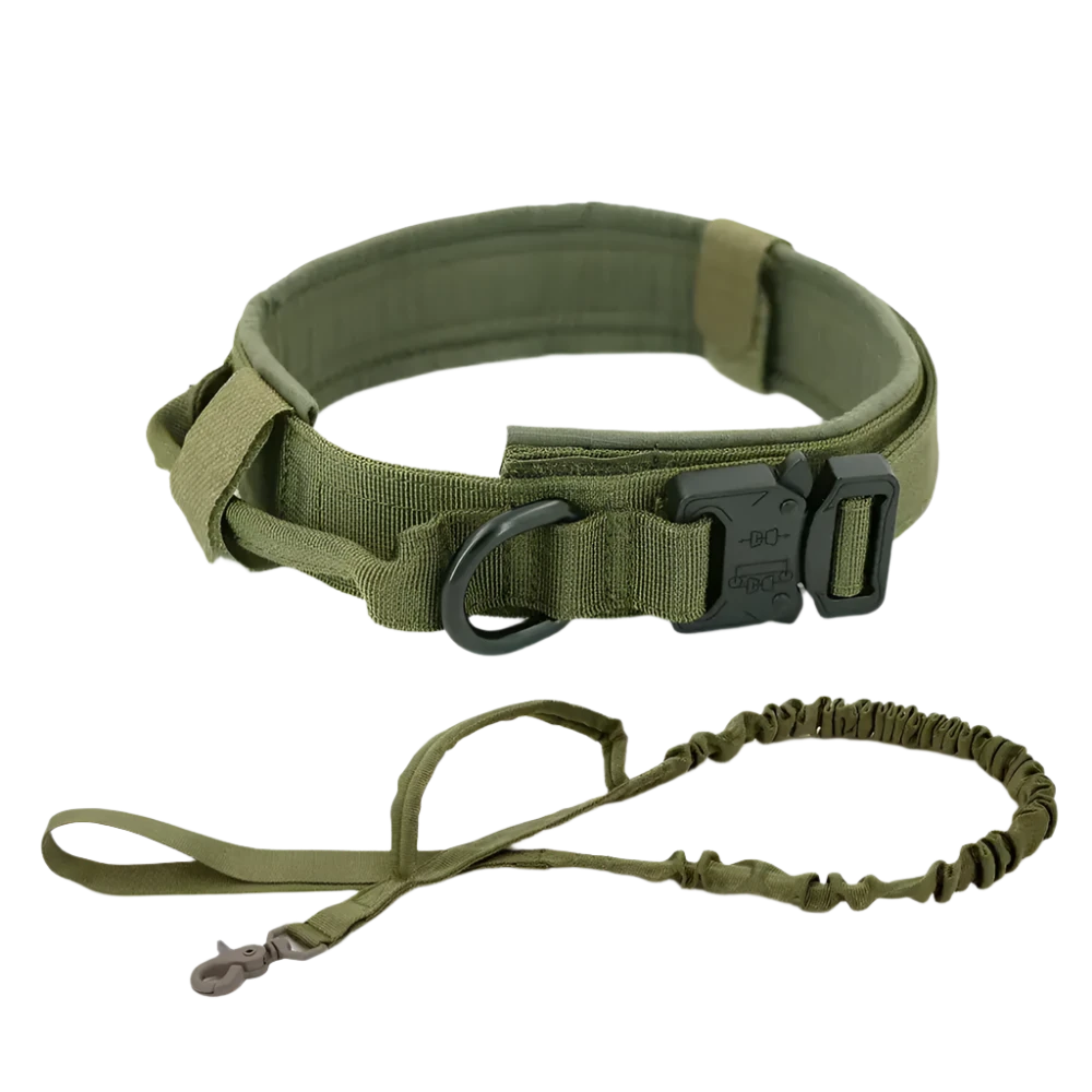 Tactical Collar