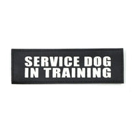 Service Dog In Training