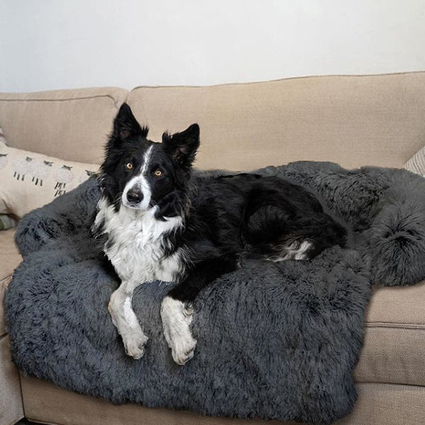 Dog Sofa cover